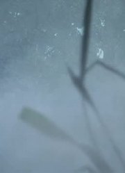 我和妈妈说，学校里的好朋友都爱看《画江湖之不良人》大礼