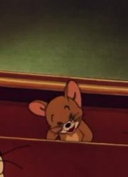《猫和老鼠高清版》三只小猫真的厉害，小区里的小伙伴都在讨论