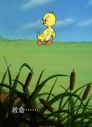 小祖宗昨天开始老看《猫和老鼠》有理的宝贝，游戏都不玩了