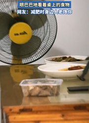 女生减肥一到晚上就开始激烈的思想斗争，眼巴巴看着桌上的食物。
