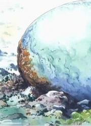 海贼王：3只庞大的龙形生物，最后一只是龙界耻辱！