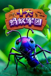 十大蚂蚁军团