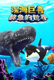 深海巨兽鲸鱼的世界