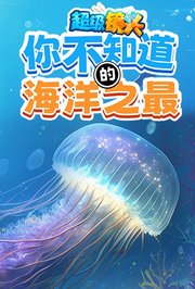 超级镜头：你不知道的海洋之最
