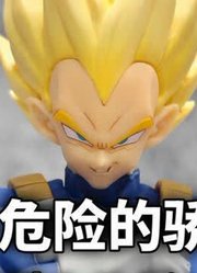 「初丁分享628」只配130！SHF贝吉塔危险的骄傲