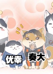 新生代奥特曼人间体，如果全部都变成小狗，你还能认出他们吗？