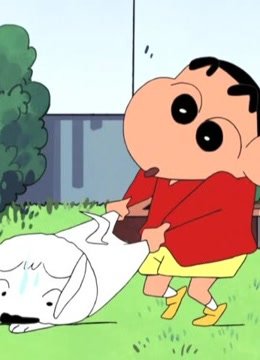 蜡笔小新第5季