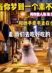 只有经历过的人才懂这种感觉#猫meme#