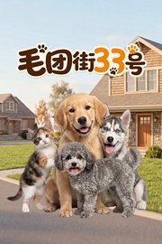 毛团街33号