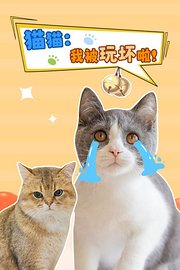 猫猫：我被玩坏啦！