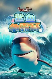 可可百科365：鲨鱼争霸赛