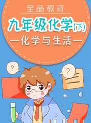 全品九年级化学下-化学与生活