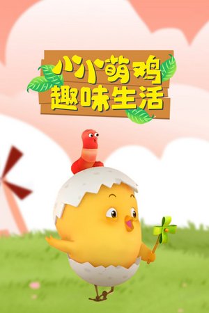 小小萌鸡趣味生活