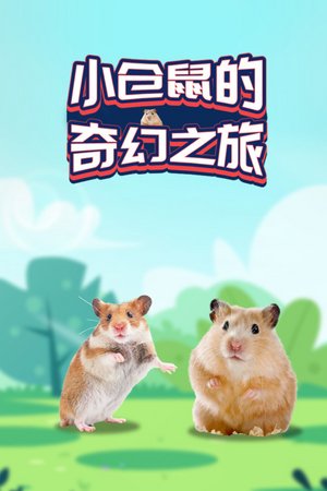 小仓鼠的奇幻之旅