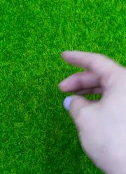 儿童彩色世界的2026年合集