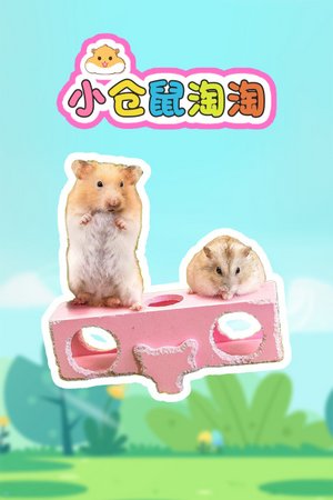 小仓鼠淘淘