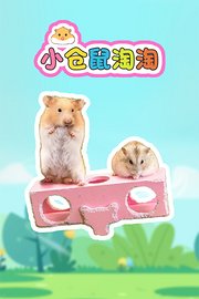 小仓鼠淘淘