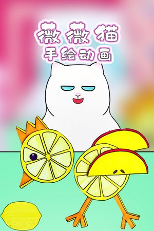 薇薇猫手绘动画