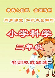 小学科学知识点全解析二年级同步课