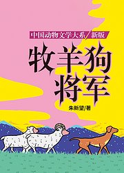 沈石溪推荐动物小说新版牧羊狗将军