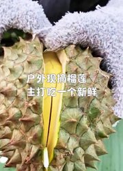 香妮生活录的2026年合集