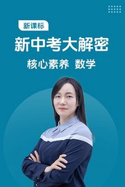 新课标新中考大解密核心素养数学