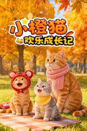 小橙猫欢乐成长记