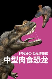 PNSO恐龙博物馆-中型肉食恐龙