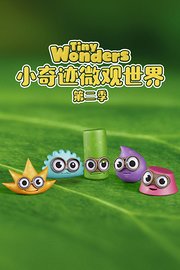 小奇迹微观世界第2季