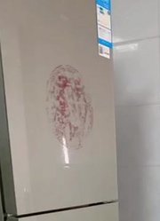 妈妈的小宝贝儿.的2026年合集