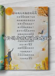 雨果音乐书的2024年合集