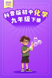 2025新改版科普版初中化学九年级下册