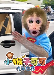 小猴子可可汽车世界