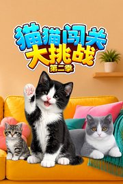 猫猫闯关大挑战第2季