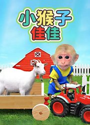 小猴子佳佳
