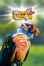 揭秘身怀绝技的鸟类