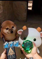 飞飞鱼吖.的2026年合集