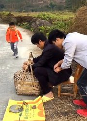 啊牛哥 的2025年合集1