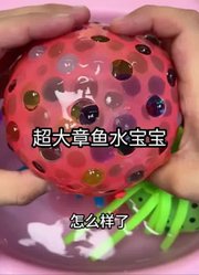 -小火慢炖-的2025年合集
