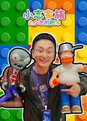 小志家族之小志的积木