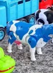 动物生⁣活馆的2024年合集