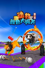 动物颜色大闯关第3季