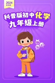 2024新改版科普版初中化学九年级上册