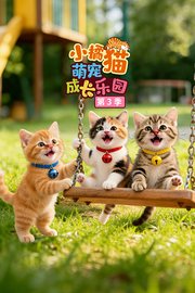 小橘猫萌宠成长乐园第3季