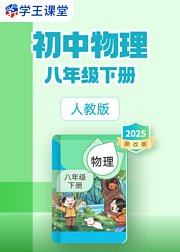 2025新改版人教版初中物理八年级下册