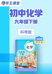 2025新改版科粤版初中化学九年级下册