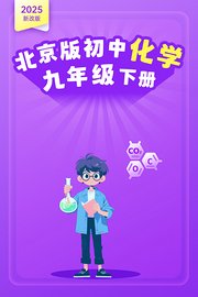 2025新改版北京版初中化学九年级下册