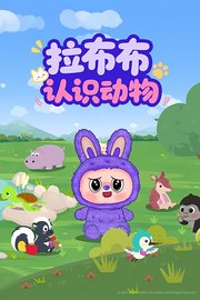 拉布布认识动物