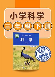 小学科学三年级下册科学教科版2021