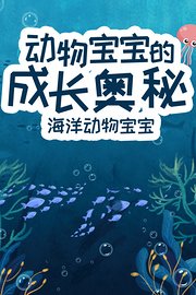 海洋动物宝宝动物宝宝的成长奥秘